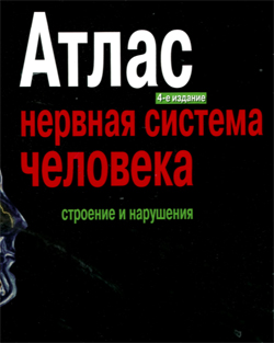  Атлас нервная система человека